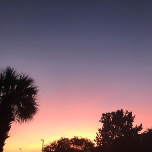 Meet your Posher, Daniela